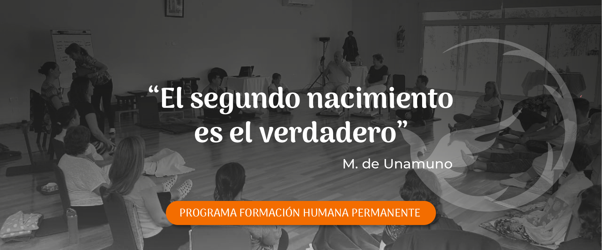 Banner con naranja-01